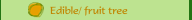 Edible/ fruit tree